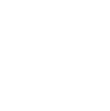circle dot icon